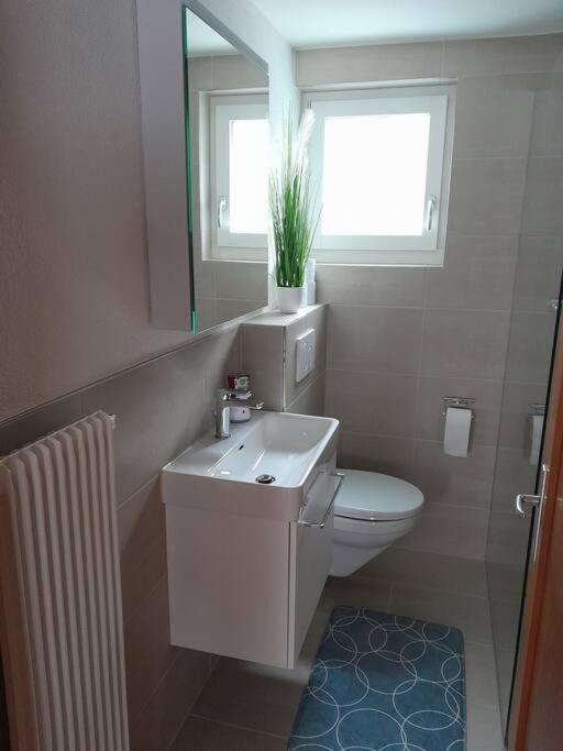 2 1/2 Zimmer Ferienwohnung Meiringen Exteriér fotografie