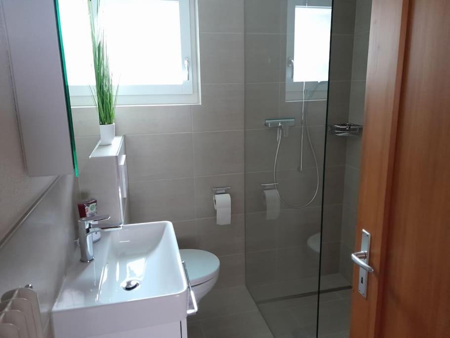 2 1/2 Zimmer Ferienwohnung Meiringen Exteriér fotografie